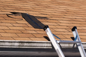 Roof Damage Public Adjuster - ProFloridian