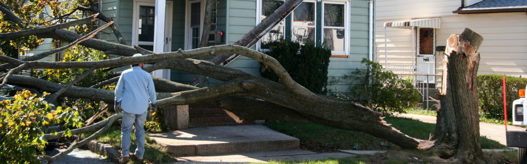 ProFloridian Public Adjusters - banner - 15