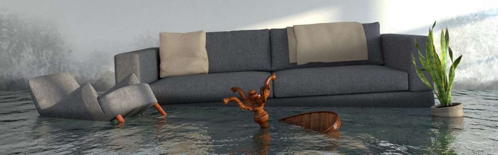ProFloridian Public Adjusters - banner - 6